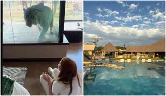 Viih Tube é surpreendida por tigre na janela do quarto do hotel na África do Sul