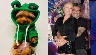 Theozinho era o cachorro mais novo de Xuxa Meneghel e Junno Andrade