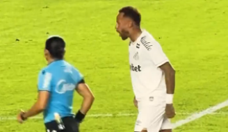 Leitura labial teria flagrado Neymar xingando a árbitra Edina 