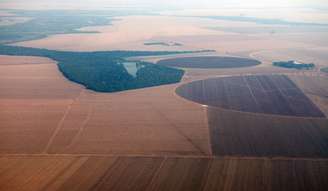 Vista aérea de plantação de soja no Mato Grosso
09/09/2011
REUTERS/Paulo Whitaker