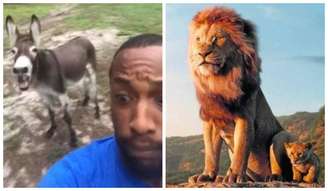 O americano Travis Kinkey canta música tema de 'O Rei Leão' acompanhado por um burro e um cavalo e vídeo viraliza.