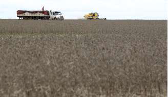 Colheita de soja em Primavera do Leste (MT) 
07/02/2013
REUTERS/Paulo Whitaker