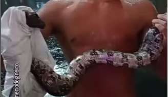 Biólogo identificou serpente como jibóia adulta