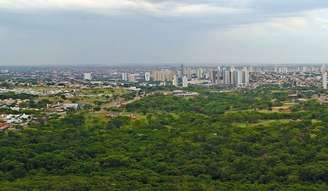 Em Campo Grande, capital de Mato Grosso do Sul, apenas 8,53% das moradias ficam em vias sem arborização urbana, segundo o Censo do IBGE
