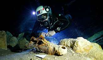 Cemitério de lêmures gigantes foi achado por cientistas em cavernas subterrâneas