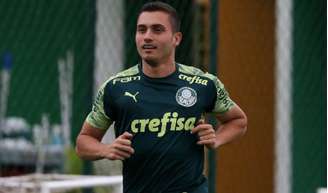 Luan Silva está emprestado até dezembro e crê que provará que deve permanecer (Foto: Ag. Palmeiras/Divulgação)