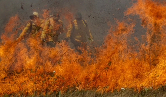 Pantanal registra o maior número de incêndios dos últimos 26 anos para um mês de junho