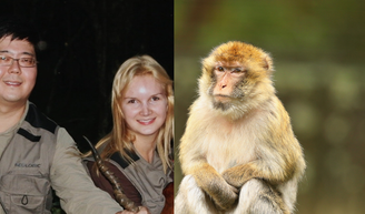 Marcos Kitano, marido esquartejado por Elize Matsunaga, teve crise de ciúmes por causa de um macaco: 'Chimpanzés seduzem as mulheres'.