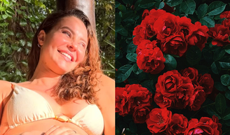 O delivery de 12 mil rosas vermelhas para Paolla Oliveira: descubra quem enviou o extravagante presente para a atriz, agora solteira.