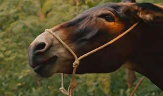Policarpo sofrerá maus-tratos de Sandra (Flavia Alessandra) em Êta Mundo Melhor.