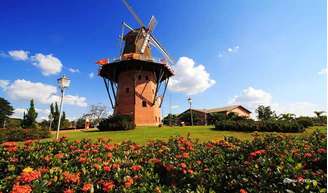 Conheça os principais pontos turísticos de Holambra: campos floridos, arquitetura holandesa e passeios pela cidade.