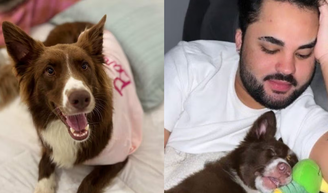 ‘Agiu como se fosse descartável': Lucas Guedez é acusado de abandonar cachorrinha em creche; influenciador circula com uma nova cadela.