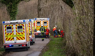 Três morrem em queda de árvore durante caça aos ovos na Alemanha; bebê de 10 meses está entre as vítimas
