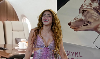 Antes de chegar ao Brasil, conheça o jatinho de US$ 26 milhões usado por Shakira na turnê 'Las Mujeres Ya No Lloran'.