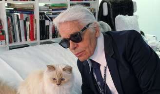 Gata de Karl Lagerfeld, hoje com 14 anos, ainda não recebeu fortuna bilionária do estilista; R$ 8,7 milhões não foram pagos e pet troca mansão por apartamento em Paris.