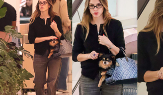 Queria ser ele! Cachorro de Isabelle Drummond, de 'Coração Acelerado', passeia em bolsa Dior de quase R$ 20 mil; sandália de grife também chama atenção.