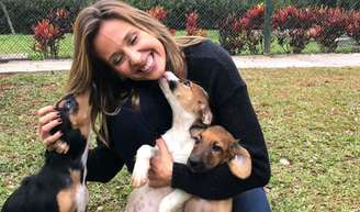 O que diz a psicologia sobre as pessoas que estão sempre acariciando os cães na rua.
