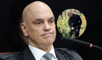 Antes de polêmica com Vorcaro: Há 10 anos, Alexandre de Moraes cortava pés de maconha no Paraguai; depois, votou pela descriminalização.
