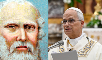 Frase do dia do Papa Leão XIV: 'Como escreve Platão, as coisas mais profundas e importantes só se aprendem depois de muito tempo e esforço'.