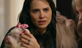 A espiã de quatro patas! Adriana arma plano inusitado com cachorrinha para desmascarar Pilar em 'Quem Ama Cuida' e descobre segredo MACABRO da vilã; entenda.