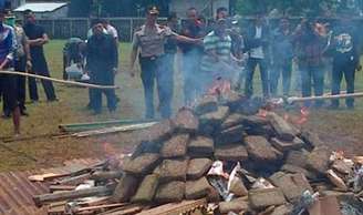 "Fogueira de maconha" continha outras drogas  tais como 1,8 quilos de cristais de metanfetamina e 2.538 pílulas de ecstasy