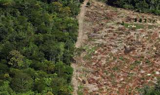 <p>Segundo o MPF, a agropecuária contribui para o desmatamento na região amazônica</p>