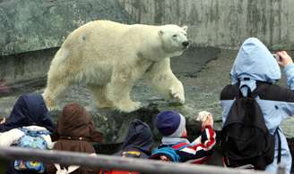 Esta foto de fevereiro de 2008 mostra Anton em sua jaula no zoológico Wilhema, em Stuttgart