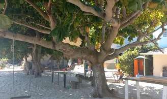 A travessia até a ilha revela belas paisagens da Baía de Guanabara, apesar da falta de uma rota oficializada – Reprodução/Youtube