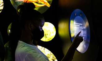 Proporção de pessoas com deficiência, com 25 anos ou mais, que concluem a educação básica (ensinos fundamental e médio) é de 25,6%, ou uma em quatro