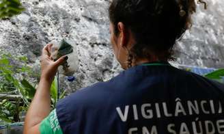 Veja iniciativas que podem ajudar Brasil no combate à dengue