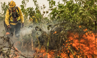 Incêndios causaram grande destruição no Brasil