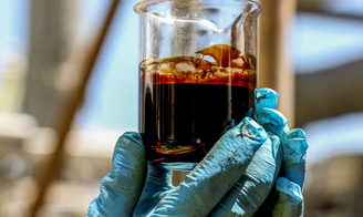 Governo veta mudança no preço do petróleo e compensação ampla para renováveis