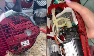 Cafeteira de cápsula infestada de formigas viraliza nas redes sociais