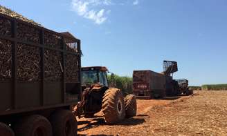 Trator carrega cana-de-açúcar recém-colhida em Pitangueiras (SP) 
01/05/2018
REUTERS/Marcelo Teixeira