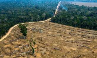 Governo Bolsonaro ignora metas de combate ao desmatamento em plano estratégia até 2031
