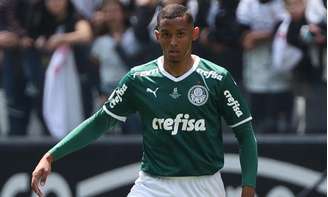 Michel ficará parado por cerca de um mês para se recuperar de lesão (Foto: Fabio Menotti/Palmeiras)