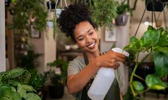 Descubra quais plantas trazem boas energias e são fáceis de cuidar para você colocar na sua casa e melhorar o ambiente