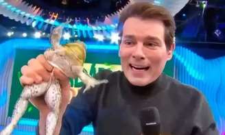 Celso Portiolli no programa Domingo Legal, do SBT.