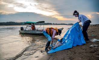 Mais de 100 botos morrem em lago superaquecido no Amazonas