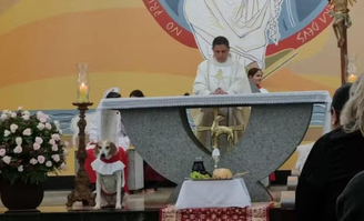 O 'cãoroinha' Johnny durante missa na Paróquia Santa Ana e São Joaquim, em Barretos, no interior de São Paulo.