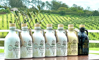 Azeite premiado é de fazenda gaúcha