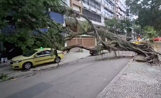 Na semana passada, quarta-feira, 29 de agosto, as fortes rajadas de vento de mais de 100 km/h deixaram duas pessoas mortas na capital