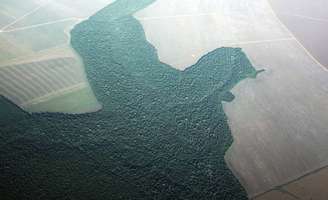 Vista aérea de área desmatada na Amazônia, no Estado do Pará
20/04/2013 REUTERS/Nacho Doce