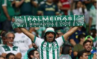 Torcida do Palmeiras terá um novo sistema de compra de ingressos (Foto: Agência Palmeiras/Divulgação)