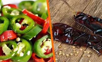 Directo al Paladar México/Reprodução