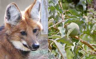 TakinPix/NancyAyumi/Gettyimages