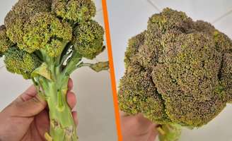 Reprodução/Directo al Paladar