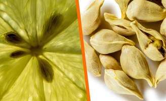 Directo al paladar/Reprodução