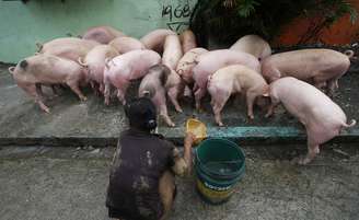 Criação de porcos em Manila, Filipinas 
20/09/2014
REUTERS/Erik de Castro