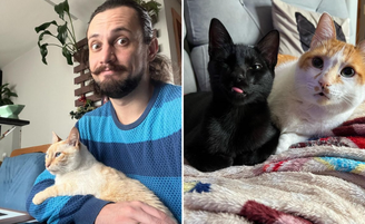 Paulo Rafael Maidl  ao lado de 3 dos 4 gatos de estimação; no perfil Rafa do Mika, ele compartilha dia a dia  com o marido e os bichos nas redes sociais